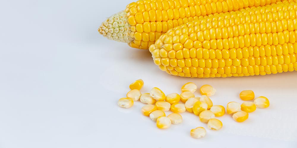 Control de Aflatoxina B1 y M1