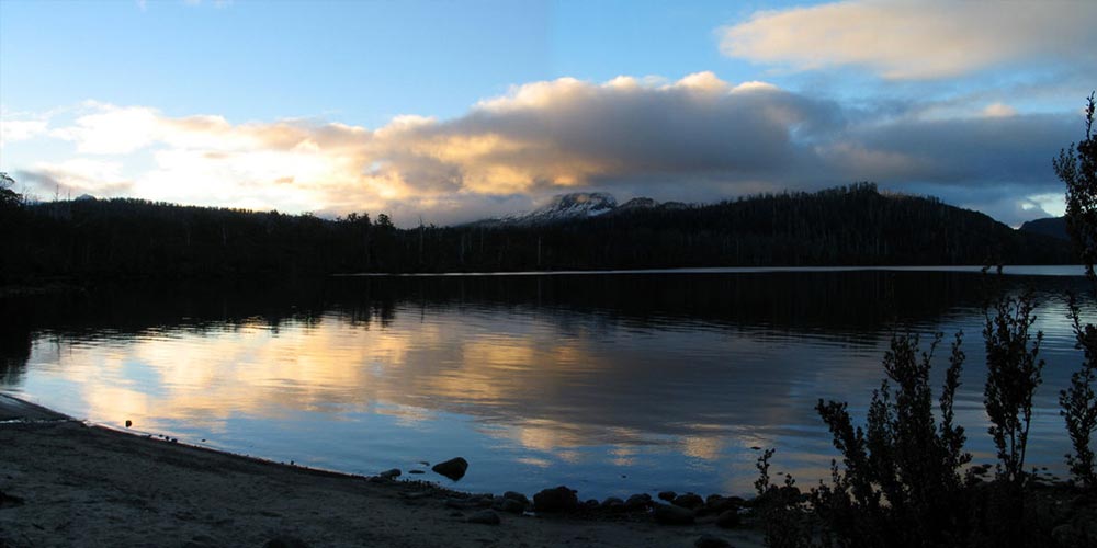 Microcistinas y su detección en agua
