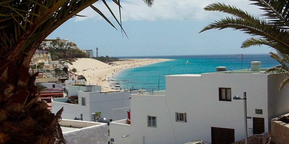 Descubierta una alga tóxica que podría ser causante de los casos de ciguatera registrados en Canarias