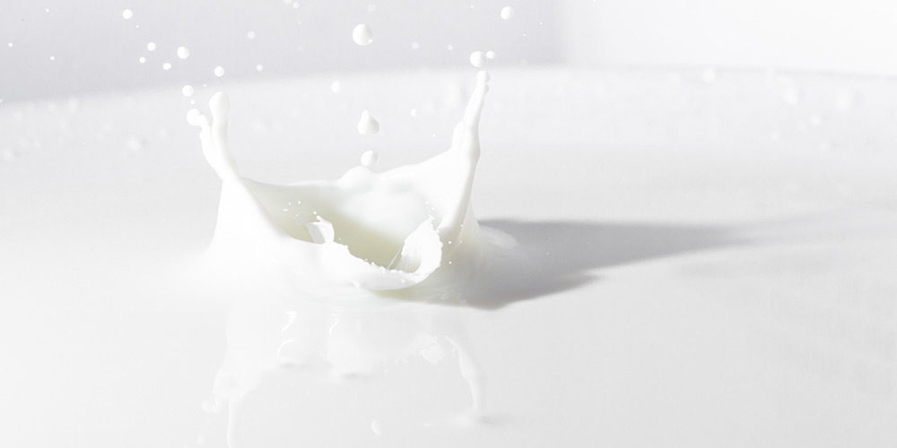 ¿Qué pasos podemos seguir si identificamos Aflatoxina M1 en leche?