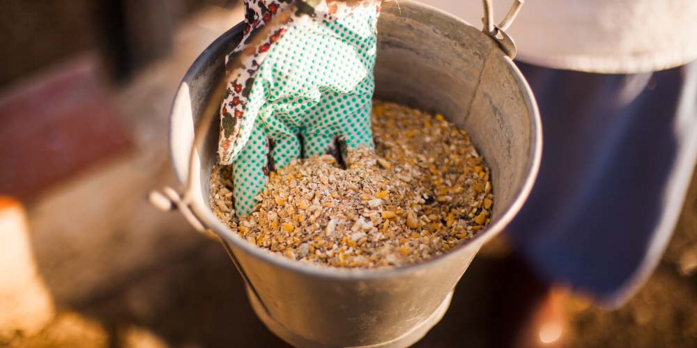 Detección de residuos de antibióticos en piensos