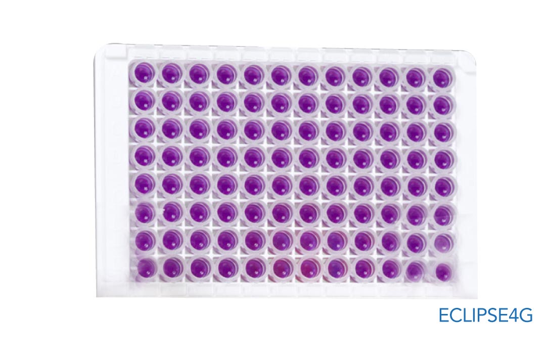 Eclipse4G & COMET32 - Imagen 3