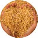 icon_aflatoxinas_home