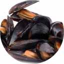 icon_toxinas-marinas_home